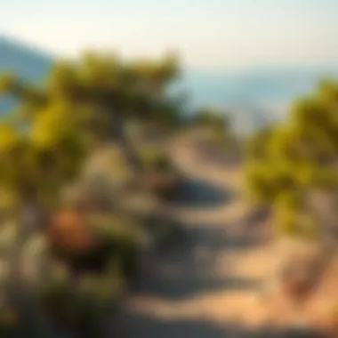 A scenic hiking trail leading to stunning views near a caravan site