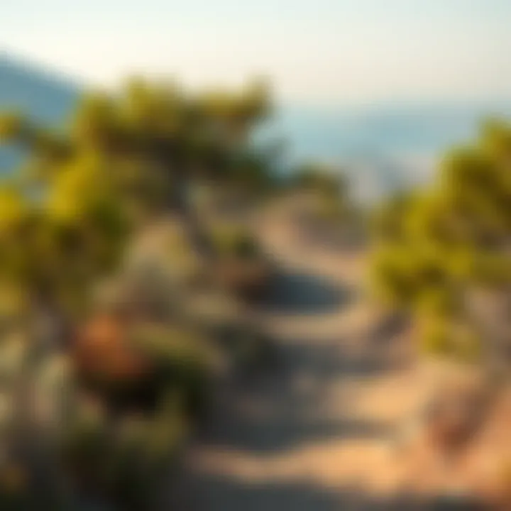 A scenic hiking trail leading to stunning views near a caravan site