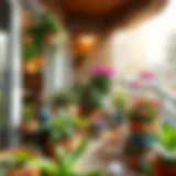 A cozy balcony winter garden filled with diverse plants