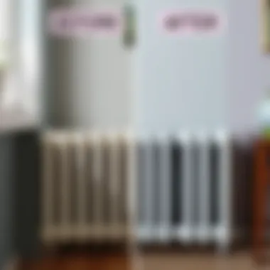 Transformation of a Radiator's Cleanliness Before and after comparison of a radiator's appearance