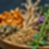 Dried herbs arranged aesthetically