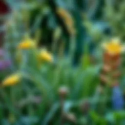 A vibrant display of various plant species illustrating their diversity