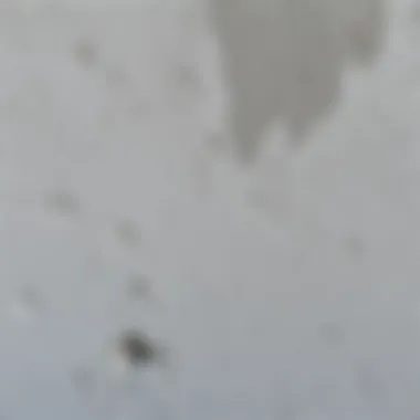 Close-up of C20 concrete texture