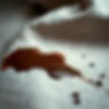 A close-up view of a chocolate stain on fabric