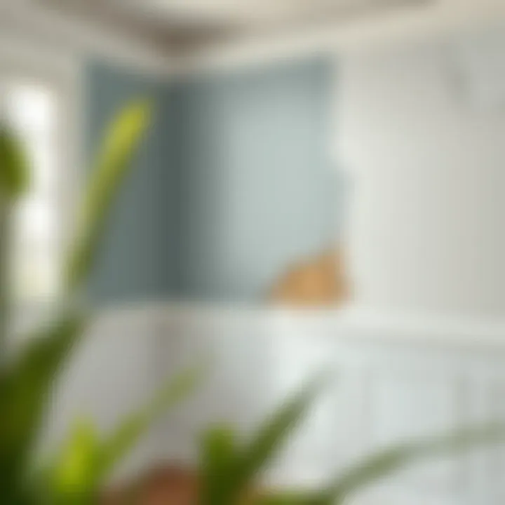 Clean wall after wallpaper removal