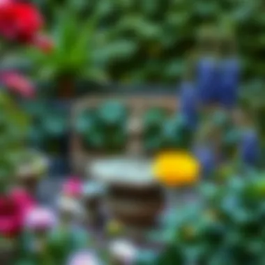 Elegant decorative features enhancing the beauty of a compact garden