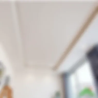 Stylish installation of a drywall ceiling