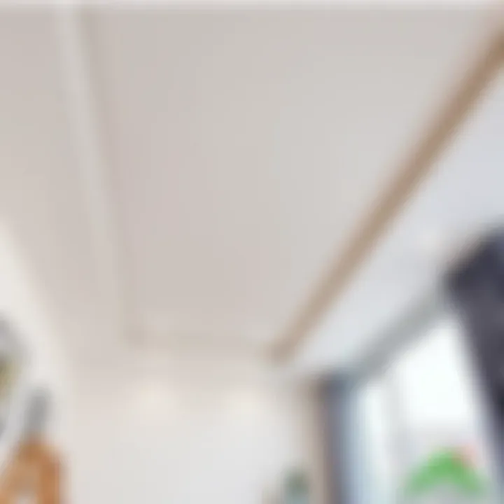 Stylish installation of a drywall ceiling