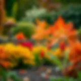 A serene garden in October with autumn colors and plants ready for planting.
