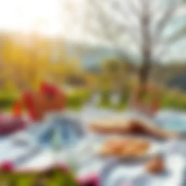 A scenic picnic setup with elegant clothing and picnic gear