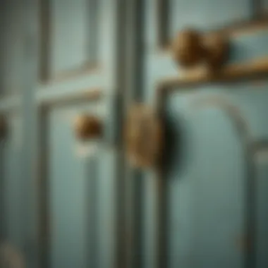 Antique Closet with Decorative Hardware Close-up of decorative hardware on a refurbished antique closet.