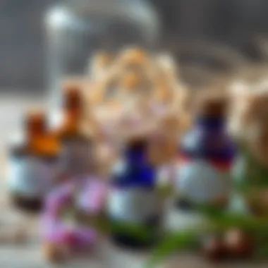 Essential oils and herbs for homemade fragrances