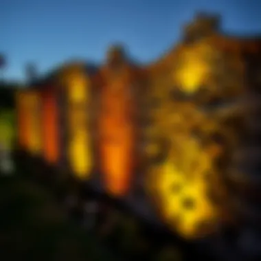 Stunning wall lighting enhancing garden ambiance at night