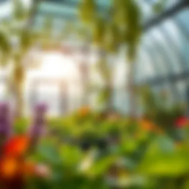 Sustainable gardening practices in action