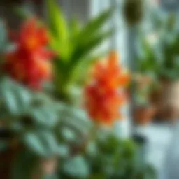 Vibrant indoor plants arranged aesthetically