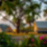 Lush Greenery at Camping Site in Izmir Scenic view of a camping site in Izmir surrounded by lush greenery