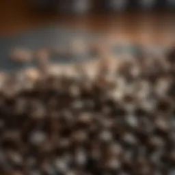 Freshly roasted coffee beans