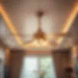 Modern ceiling fan design showcasing elegance and style