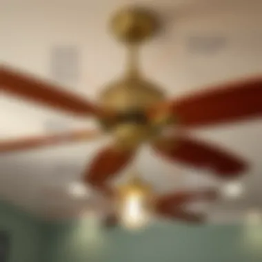 Technical specifications display of ceiling fan features