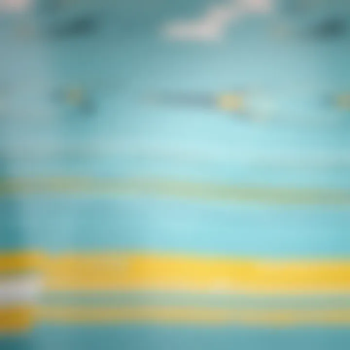 Close-up of Koçtaş wallpaper adhesive texture