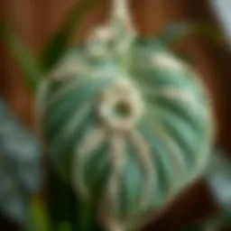 A detailed macrame leaf model showcasing intricate knots and patterns