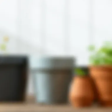 Comparison of different pot materials like plastic, terracotta, and metal
