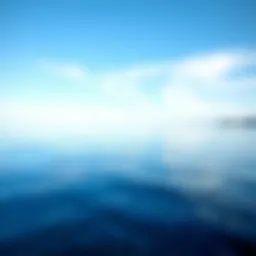 A tranquil sea reflecting different shades of blue