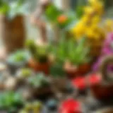 A beautifully designed miniature garden showcasing diverse plant arrangements