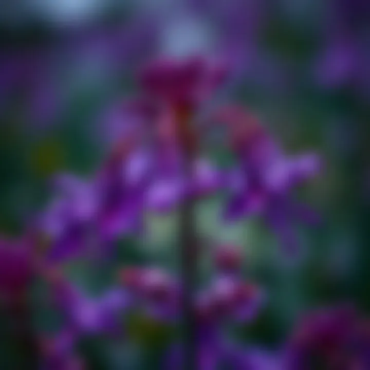 Artistic interpretation of the psychological effects of purple