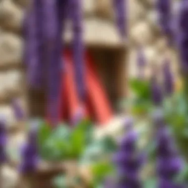 Historical significance of purple in ancient civilizations