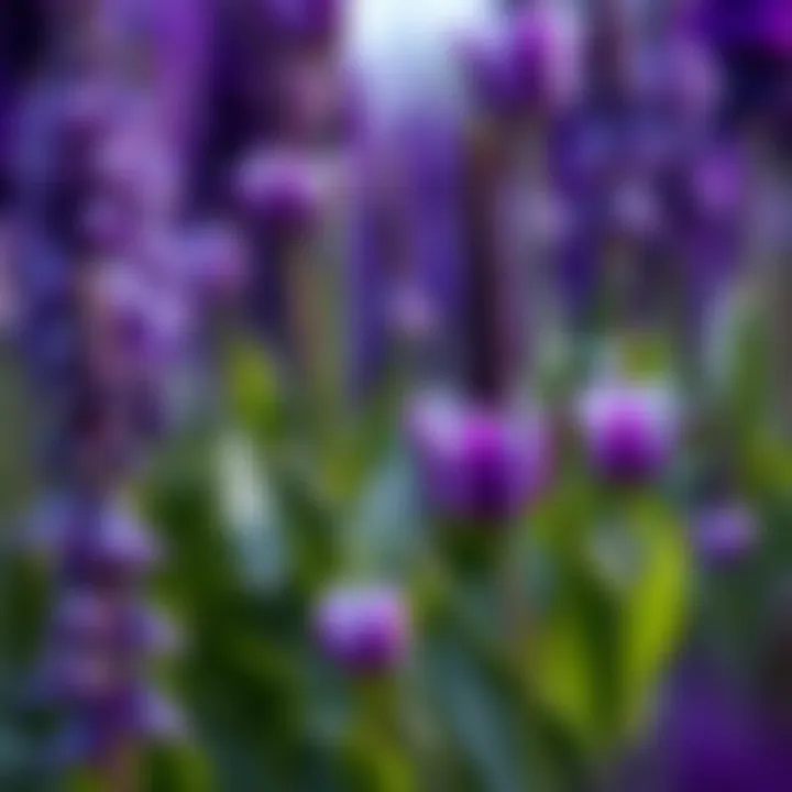 Artistic representation of the psychological effects of purple