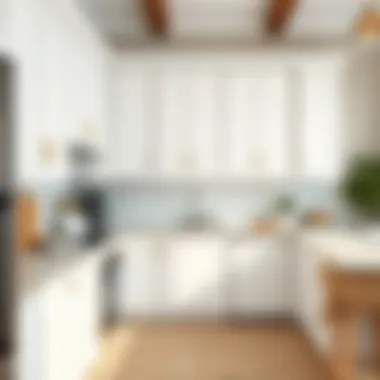 Classic white kitchen cabinets with modern touches