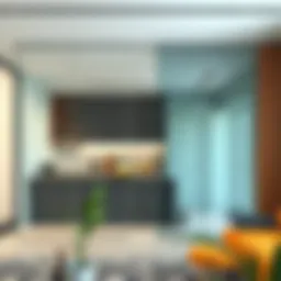 Modern glass partition for open kitchen closure