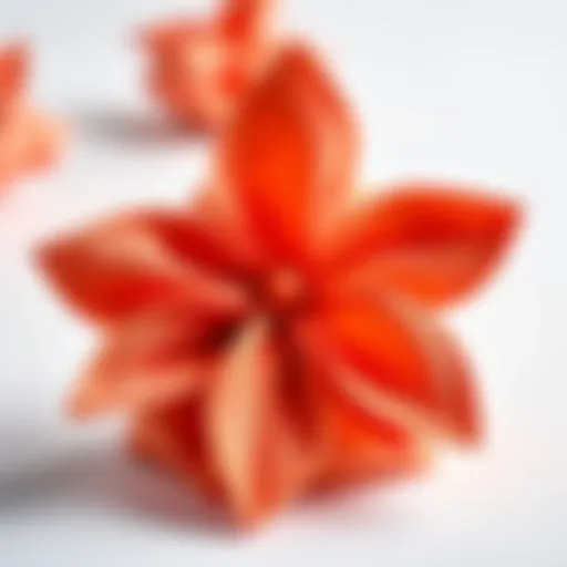 Elegant folded napkin in the shape of a flower