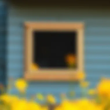 Detailed view of the installation process of an insect screen