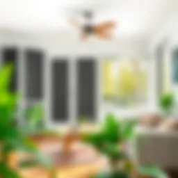 Various types of insect screens displayed in a home setting