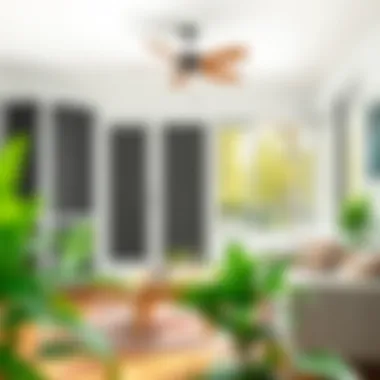 Various types of insect screens displayed in a home setting