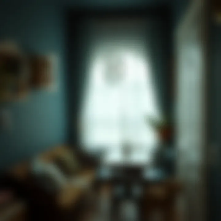 DIY Projects Inspired by the Black Room DIY project ideas inspired by the Black Room theme