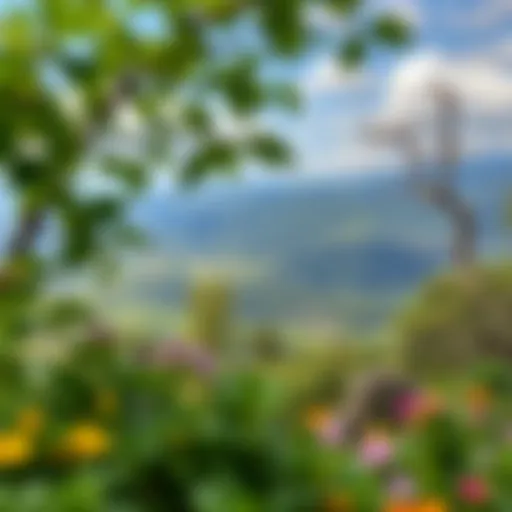 A serene landscape promoting relaxation