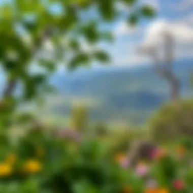 Nature's Tranquility A serene landscape promoting relaxation