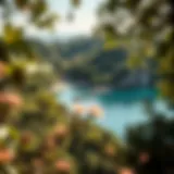 A breathtaking cove surrounded by lush greenery and crystal-clear waters