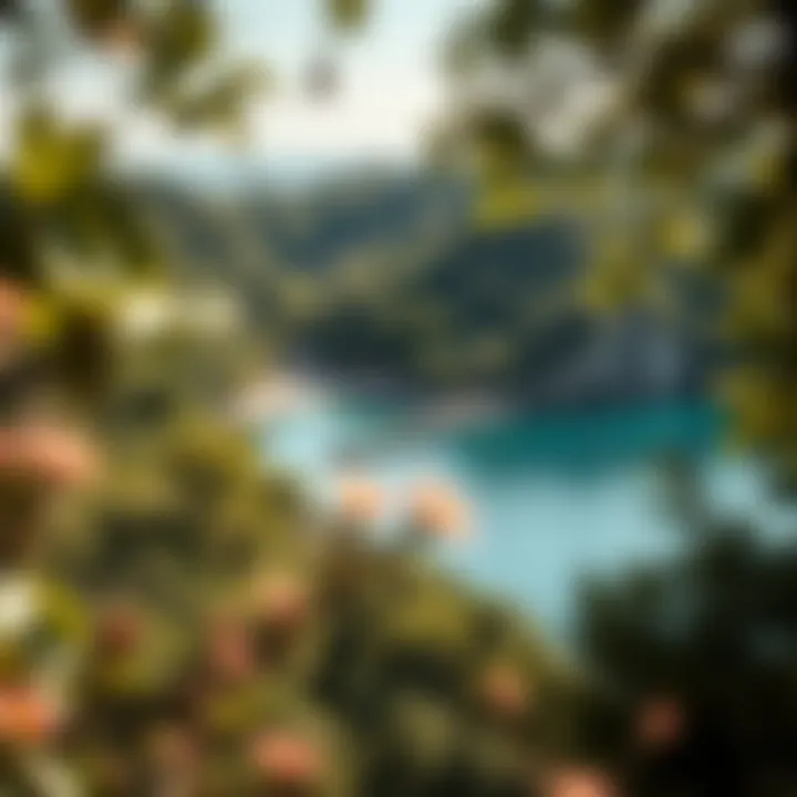 A breathtaking cove surrounded by lush greenery and crystal-clear waters