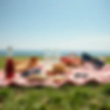 A stylish picnic outfit laid out on grass with accessories