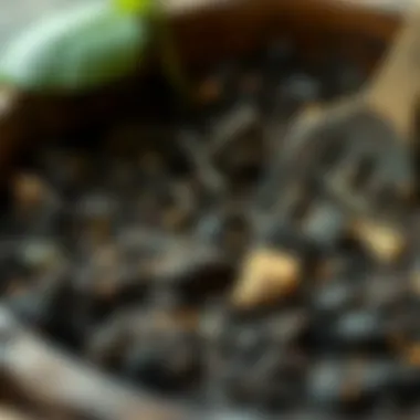 Close-up of soil being enriched with organic matter for healthy plant growth.