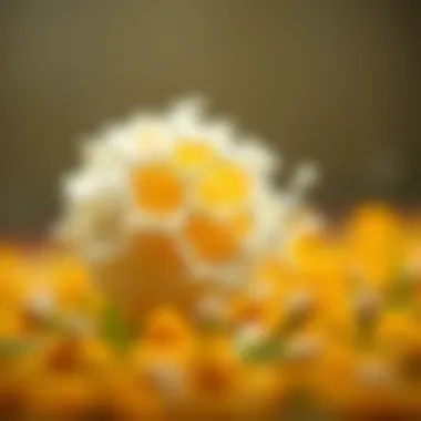 The molecular structure of egg proteins